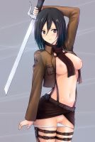 attack_on_titan_-_mikasa_20130914_019.jpg